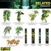 Premium Coco Husk Terrarium Substrate - Ideal for Vivid Plant Growth | International Shipping Available - Buy Online on GoSupps.com