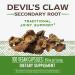 Nature's Way Devil's Claw Root - Joint Inflammation Relief, 100 Veg Capsules - Buy Online on GoSupps.com
