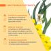 JUVAMINE - Expert Voies Respiratoires Facilite la respiration - Syst me immunitaire - Adoucit la gorge Eucalyptus - Erysimum - Vitamine C - 30 jours Fabriqu en France (Lot de 3) Pack of 3 - Buy Online on GoSupps.com