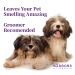 Harbor's Pet Cologne (Baby Powder) - Refreshing Scent for Your Pet - Buy Online on GoSupps.com