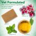 Buy Vets Best Advanced Dental Foam for Dogs - 120 ml | Best Oral Care for Pets | Fast International Shipping - Buy Online on GoSupps.com