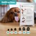 EIDEAL Pets | Nail-Grips for Dogs | Anti-slip Nail Covers for Dogs | Traction Grips for Dogs | Affordable Rubber Grips for Dogs for Hardwood Floors | Instant Relief for Dogs who Slip (M) | One pack (20 Grips) - Buy Online on GoSupps.com