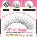 FANXITON Lash Clusters Kit Wispy Lashes Clusters Kit Natural C Lash Extensions Kit Eyelash Clusters Kit with Lash Bond and Seal Tweezers Individual Lashes Kit - 280 Pcs - (YS03)DIY Lash Extension Kit-280pcs - Buy Online on GoSupps.com