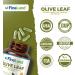FineLand Olive Leaf Extract 50x 25 000mg Eq. per Serving | 160 Vegan Caps Olive Extract with 20% Oleuropein | Herbal Antioxidant Supplement for Circulatory and Immune Support Made in USA - Buy Online on GoSupps.com
