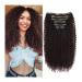 Hair Extensions 7pieces Kinky Curly Clip In Hair Extension Full Head - Double Weft Full Head Heat Resistance Synthetic Hair Extension Fake Hair Pieces for Women 24" Hair Pieces(1b-99J) 26inches 1b-99J