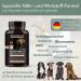 Animalius Joint Tablets for Dogs - Extra Small All Breeds | Green Lip Shell MSM & Devil's Claw | 120 Pieces for Healthy Bones & Joints - Buy Online on GoSupps.com