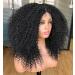 Annivia Curly Lace Front Wig - Pre Plucked Kinky Curly Afro Wig for Black Women - 17 Long HD T Part Synthetic Wig - Buy Online on GoSupps.com