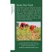 Traditional Medicinals Organic Fennel Herbal Tea - Digestive Health Support (Pack of 2, 32 Tea Bags) - Buy Online on GoSupps.com