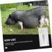 Fomiyes 2st Pregnant Tester for Farm Animals | High Precision Pregnancy Test Paper for Sows & Ferrets - 1 Pack - Buy Online on GoSupps.com