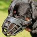 Barkless dog muzzle soft silicone muzzle for dogs bite chew and bark enables drinking and panting used with collar 3 (snout 9 -10 ension ") Black