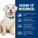 Hill's Prescription Diet w/d Multi-Benefit Wet Dog Food 13oz (Pack of 12) - Veterinary Digestive, Weight, Glucose & Urinary Management - Buy Online on GoSupps.com