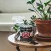 Scented Candles for Men - Supra 56 Sandalwood Patchouli Cedar | Hand-Poured Natural Soy Wax | 70-80 Hour Burn | Vintage Tin Design | Perfect Dad Home Gift - Buy Online on GoSupps.com