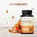 Pureved Turmeric Curcumin 90 Veg Capsules with Black Pepper and Ginger for Better Absorption | 100% Pure & Natural | Made in India - Buy Online on GoSupps.com