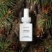 LAFCO New York Holiday Pura Smart Device Refill - Frosted Pine | Long-Lasting Fragrance Made in the USA - International Shipping Available - Buy Online on GoSupps.com