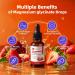 M inch Magnesium Glycinate Liquid High Absorption Magnesium Liquid Drops with Cellulose Fiber Bromelain Vitamin B6 C D Zinc Magnesium Supplement for Kids and Adults Strawberry Flavor 2 Pack Strawberry 1 Fl Oz (Pack  - Buy Online on GoSupps.com