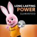 Duracell Security 2016 Batteries - 2 Count Pack of 12 | Reliable International Shipping - Buy Online on GoSupps.com
