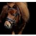 Tysons Breeches Nobless Bridle for Minishetty - Anatomically Cut Black Silver Grey with Rhinestones - Buy Online on GoSupps.com