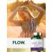 Carlyle Grape Seed Extract 24,000 mg - 240 Capsules | Antioxidant Support - Buy Online on GoSupps.com