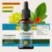HERBAMAMA Adrenal Support Liquid Drops - Vegan Adrenal Tincture with Ashwagandha Root & Rhodiola Rosea Extract - Non-GMO, Alcohol & Sugar-Free Supplement - 28-Day Supply 2 Fl Oz (Pack of 1) - Buy Online on GoSupps.com