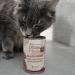 Mjamjam Premium Grain-Free Wet Cat Food - Pure Horse Meat 6-Pack (6 x 200g) - Ultimate Feline Delight - Buy Online on GoSupps.com