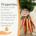 Sensoli Carrot Seed Essential Oil - 100% Pure and Natural for Skin Care and Aromatherapy - Buy Online on GoSupps.com