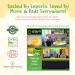Organic Halal Butternut Squash & Lamb Baby Puree 780g (6x130g) - 7+ Months - Buy Online on GoSupps.com