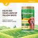 NaturVet GrassSaver Plus Enzymes for Dogs - 240 Soft Chews | Premium Lawn Protection - Buy Online on GoSupps.com