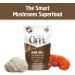 Om Mushroom Superfood Brain Fuel Plus Mocha Mushroom Powder 4oz - Lions Mane & Rhodiola Memory Support - Focus Supplement 15 Servings - Buy Online on GoSupps.com