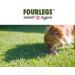 Fourles Natural Kausnack for Dogs - 100% Deer Antler Chew Treats | Size M Halved | High in Minerals & Nutrients | International Shipping Available - Buy Online on GoSupps.com