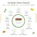 Cordyceps Mushroom 180 Capsules - 650mg CS-4 Extract | 40% Bioactive Polysaccharides | High-Dose Vegan Supplement - Laboratory Tested - Buy Online on GoSupps.com