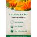 alkmene Organic Calendula Repair Shampoo - Shampoos for dry and damaged hair - Plant-based shampoo without silicone parabens mineral oils SLS and SLES - Shampoos (3x 250 ml) - Buy Online on GoSupps.com