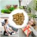 Crystal Cluster | Stone Electroplated Golden Crystal | Mineral Specimen Natural Gemstone Ornament for Collection Meditation Home Decor Crafts - Buy Online on GoSupps.com