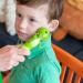 TalkTools Jiggler Oral Sensory Massager Set - Frog & Dragon Chew Toys for Kids - Calming Motor Therapy - Blue - Buy Online on GoSupps.com