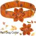 Aring Floral Dog Collar with Maple Leaf - Stylish Cotton Pet Collar for Small Medium & Large Dogs | Perfect Gift for Autumn - Buy Online on GoSupps.com