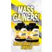 BioX Lean Mass Gainer | Low Lactose Sustained-Release Protein Matrix Gainer with No Added Sugar | 590 Calories 50G Protein 5G Fibre | 23+ Servings 3.50KG (Chocolate) - Buy Online on GoSupps.com