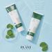 Buy THE PLANT BASE AC Clear Cica Cleansing Foam 120ml - Acne Care with Centella Asiatica | Korean Skincare | AHA BHA PHA LHA - Buy Online on GoSupps.com