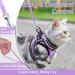 Rabbitgoo Cat Dishes Set - Stylish Cat Linen with Leash | Perfect for Cats | International Shipping - Buy Online on GoSupps.com