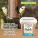 Buy 800g Dried Mealworms for Wild Birds Fish & Reptiles - High Protein Snack in Practical Bucket | 5kg Pack for International Shipping - Buy Online on GoSupps.com