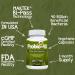Probio-40: 40 Billion Probiotic & Prebiotic for Colon & Immune Health | Acidophilus Lactobacillus & FOS | 60 Vege Capsules | Money Back Guarantee - Buy Online on GoSupps.com