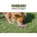 Fourles Natural Kausnack for Dogs - 100% Deer Antler Chew Treats | Size M Halved | High in Minerals & Nutrients | International Shipping Available - Buy Online on GoSupps.com
