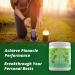 Get Your Greens Super Greens Powder - 10 Green Juice Blend, 8 Antioxidants, 6 Enzymes, 10B Probiotics - Delicious & Easy to Mix - Non-GMO & Sugar Free - Buy Online on GoSupps.com