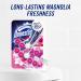 Domestos Power 5 Duo Pack Pink Magnolia Toilet Rim Block - 300 Flushes, Limescale Prevention - 14x55g Magnolia - 14 Count - Buy Online on GoSupps.com
