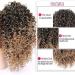 Afro Short Curly Drawstring Ponytail - Kinky Curly Synthetic Hair Extensions for Women - Buy Online on GoSupps.com