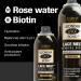 Wonder Lace Melt Aerosol Spray - Rose Water Biotin Infused 2.7 fl.oz./80ml Preserves Edges & Undetectable Lace Long lasting hold No Residue glueless 2.7 Fl Oz (Pack of 1) Rosewater - Buy Online on GoSupps.com