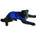 Lightweight Cooling Jacket for Dogs - Size L Blue | Perfect for Movement & Comfort - Buy Online on GoSupps.com
