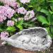 Cat Memorial Statue Angel Wings Ornament Cat Angel Statue Commemorative Stone Statue for Cat Cat Memorial Gifts Resin Pet Memorial Stone Angel Wings Figurine to Honor Cherished Pets - Buy Online on GoSupps.com