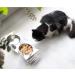 Tilted Raised Cat Bowls | Elevated Orthopedic Bowls for Small Dogs | 6 Stainless Steel Dishes with Acrylic Stand | Easy to Clean & Perfect for Travel - Buy Online on GoSupps.com