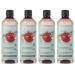 sarcia.eu ITINERA - Regenerating body wash with tomato from Sorrento 95% natural ingredients 370 ml 4 pcs