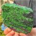 Natural red and Green raw Stone Samples Decoration ZJGIDTEM (Size : 100g) - Buy Online on GoSupps.com