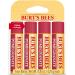 Burt's Bees Lip Balm Moisturizing Lip Care for All Day Hydration 100% Natural Pomegranate with Beeswax & Fruit Extracts (4 Pack) 0.15 Ounce (Pack of 4) - Buy Online on GoSupps.com
